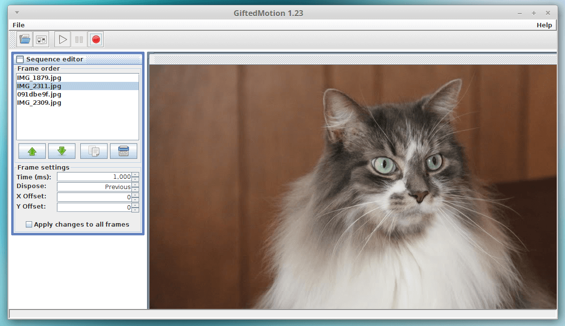 Create animated GIF images with GiftedMotion