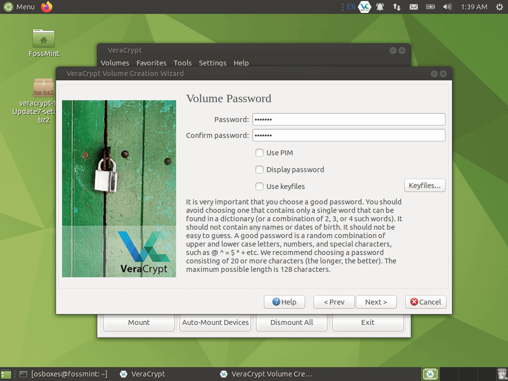 Set VeraCrypt Volume Password