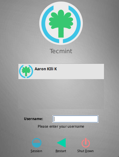 Login Interface