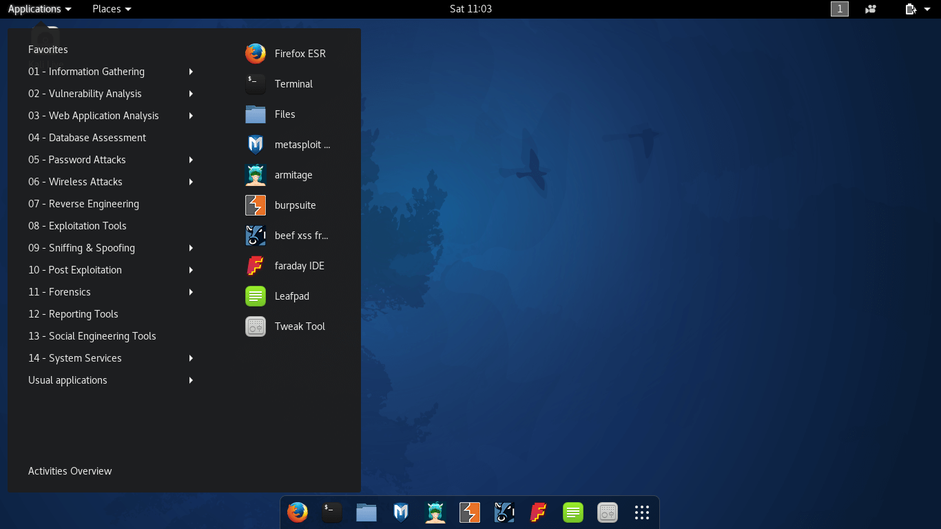 Kali Linux Hacking Tools