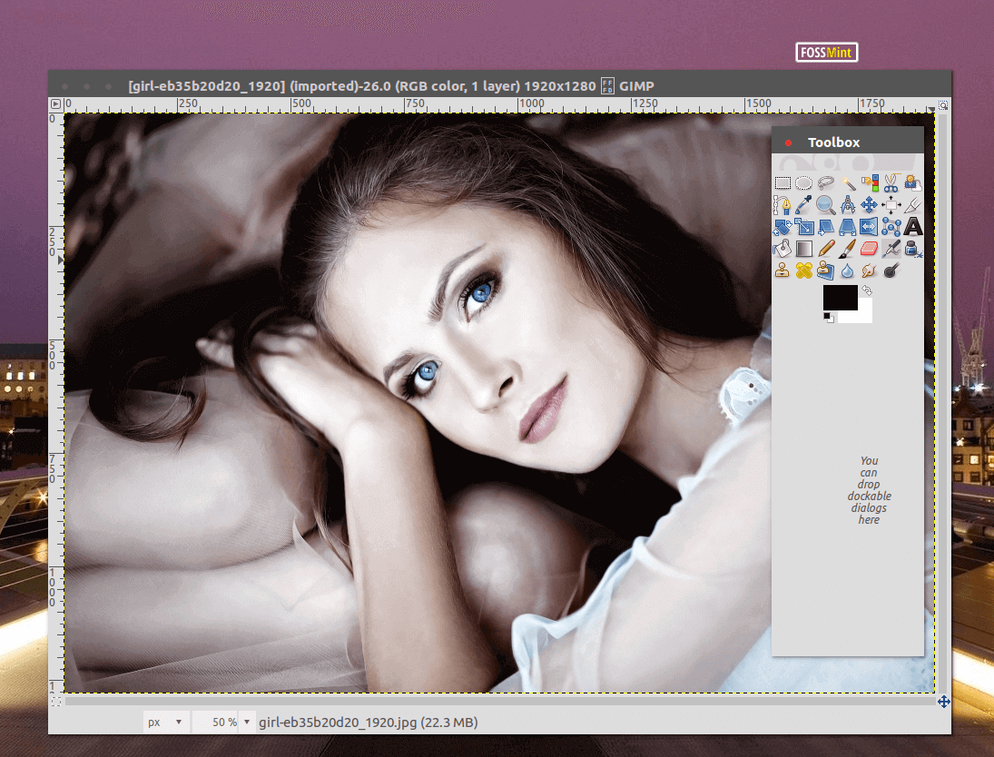 Gimp Image Editor