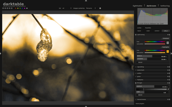 Darktable Preview 1