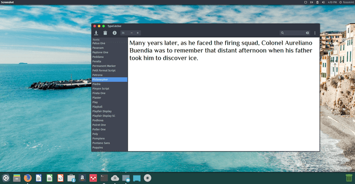 TypeCatcher - Google Fonts for Ubuntu