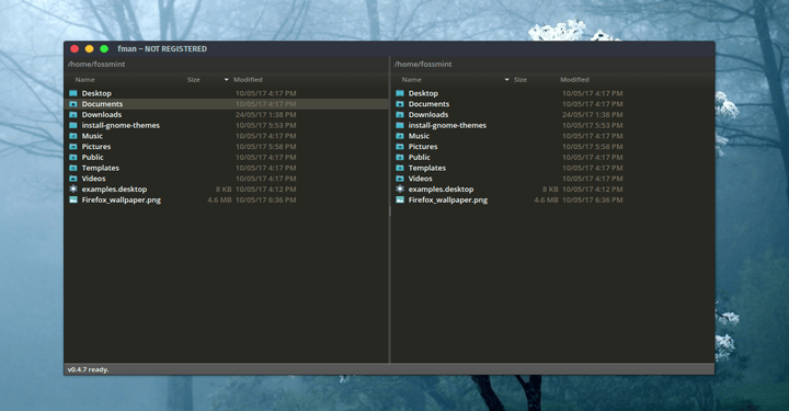 fman - Modern Linux File Manager