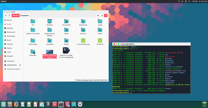 Ant Theme for Linux Desktops