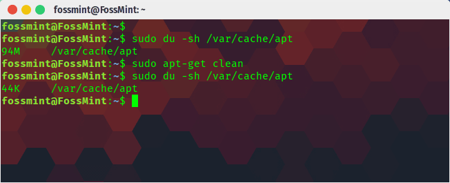 Clean APT Cache