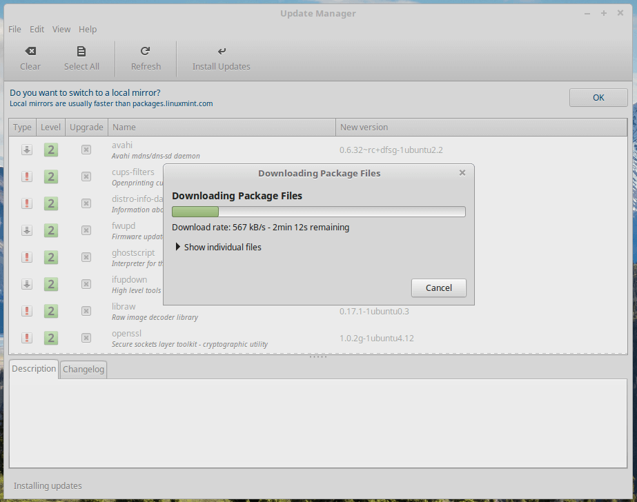 Linux Mint Update Manager