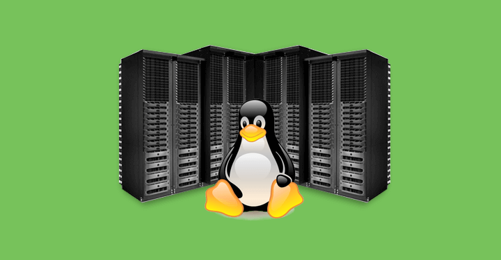 Linux Server for Business