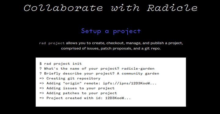 Radicle – A P2P Stack for Code Collaboration