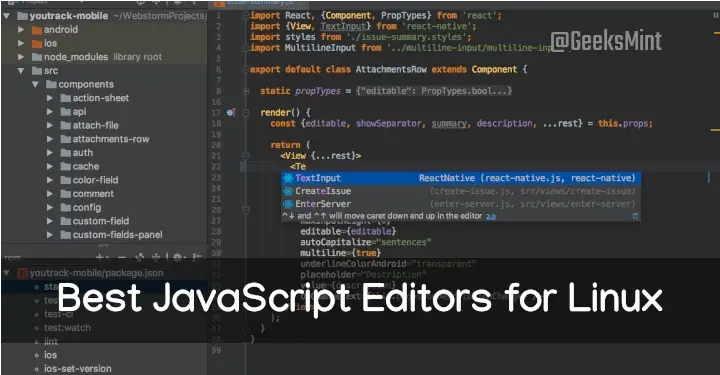 JavaScript Editors for Linux