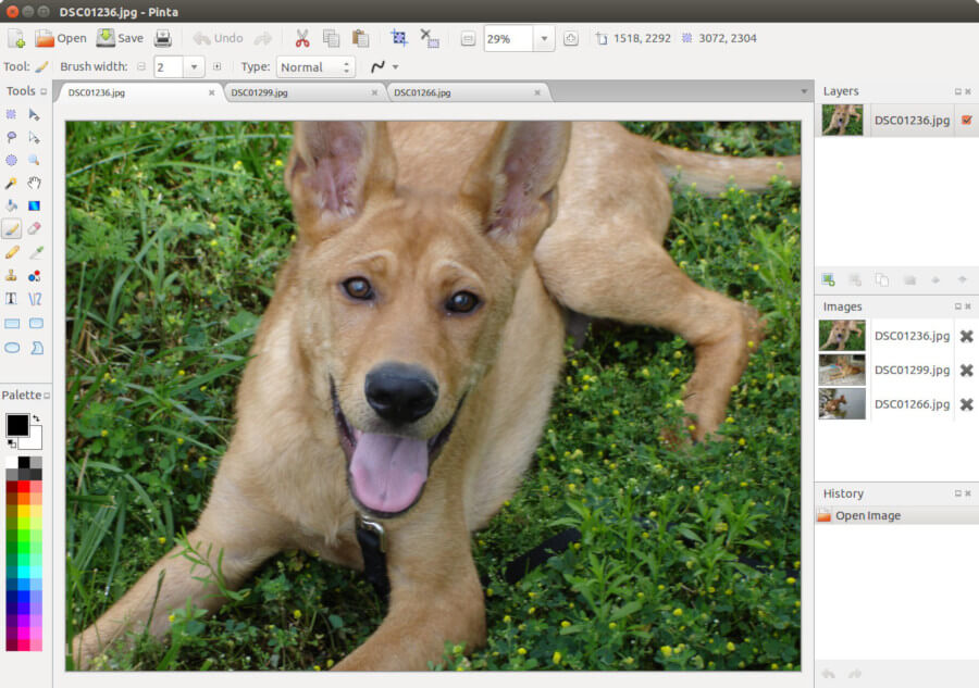 Pinta - Drawing and Image Editor