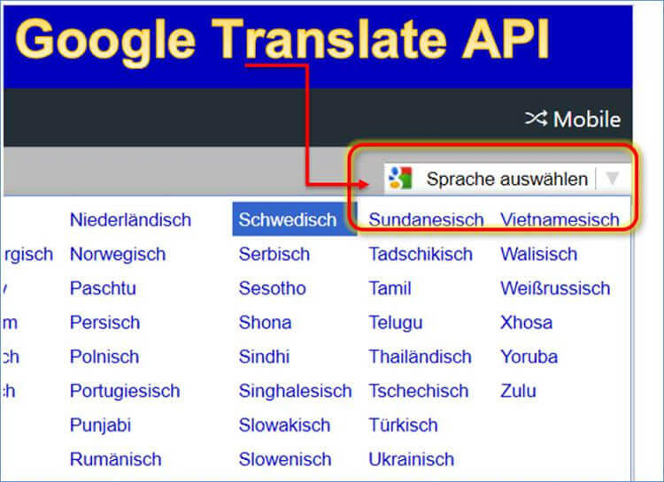 Google Website Translator