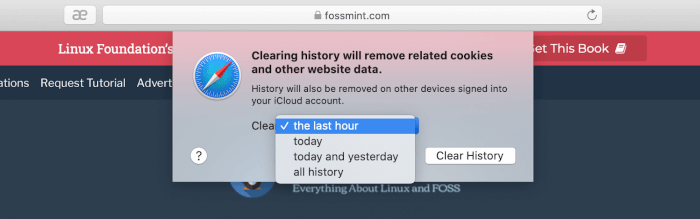 Clear Browser History in Safari