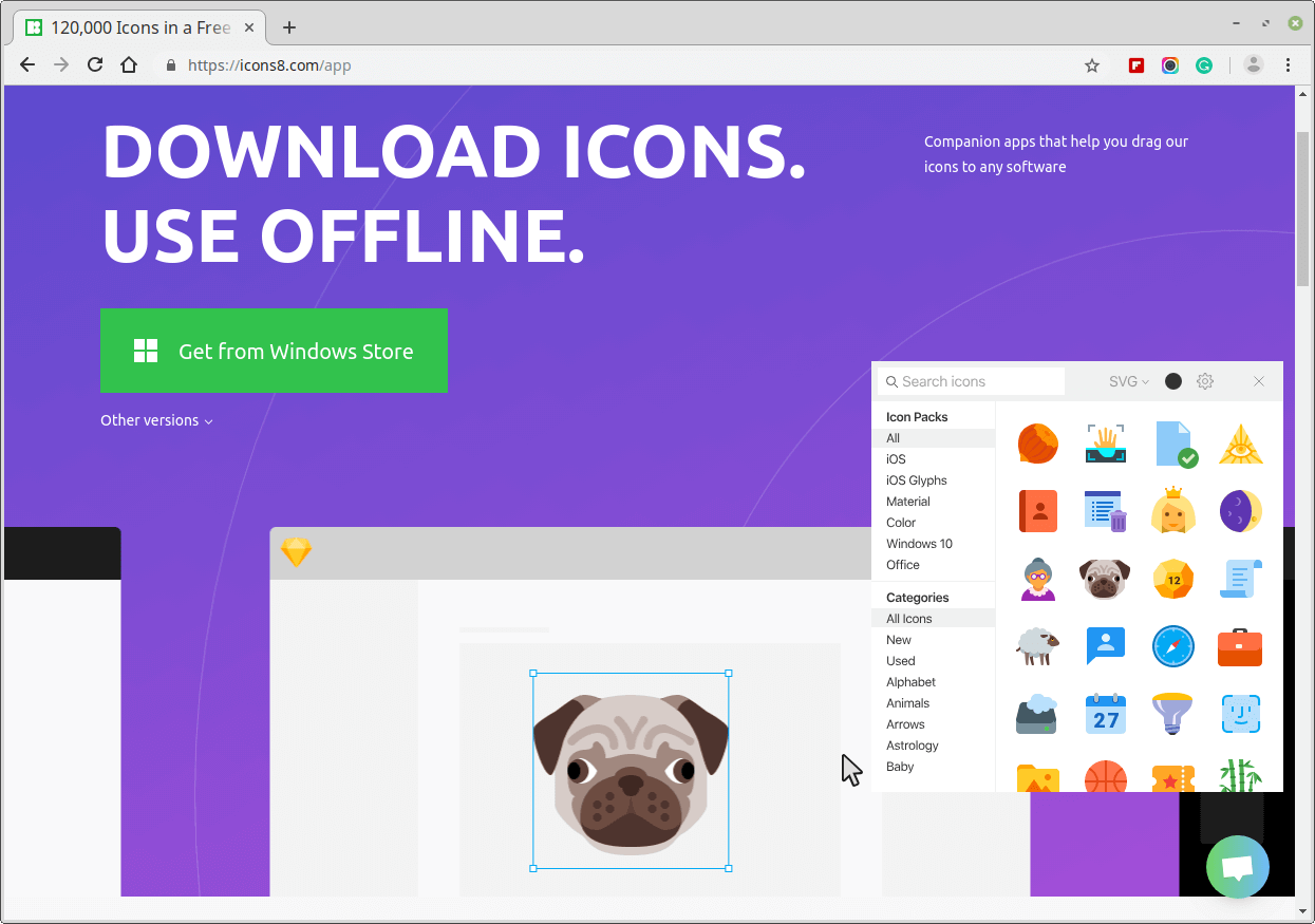 Icons8 - Free Icons or Designers