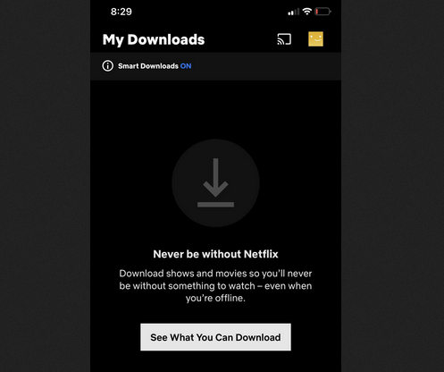 Download Movies on Netflix