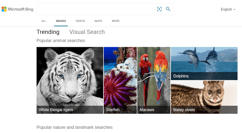 Microsoft Bing