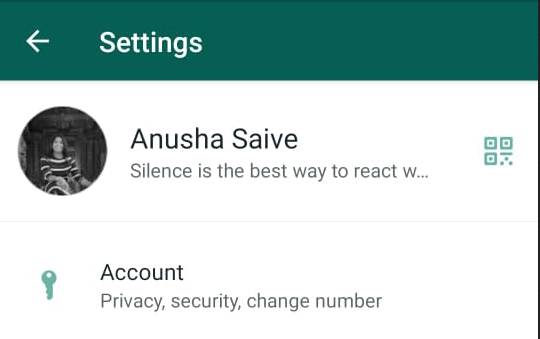 WhatsApp Account Section