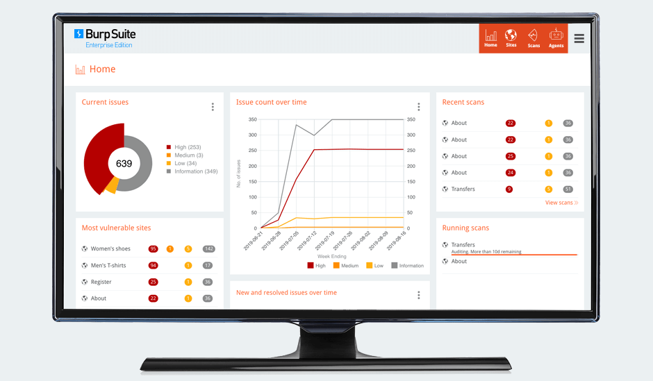 BurpSuite - Application Security Testing Tool