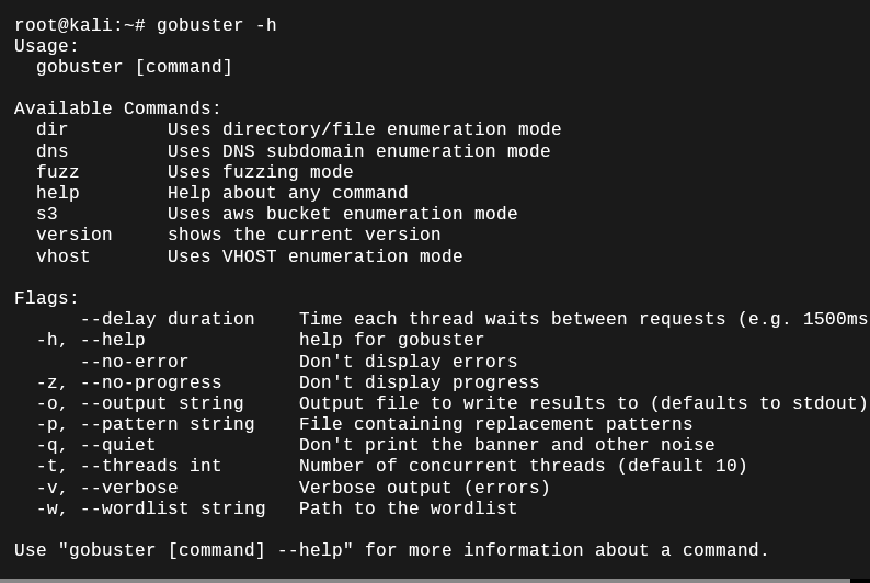 Gobuster - Brute Force Tool