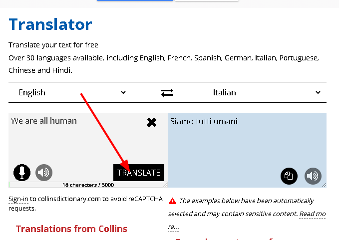 Collins Digital Translator