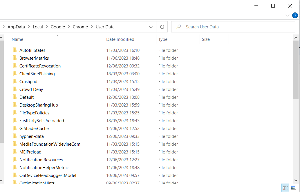 Delete Chrome Files