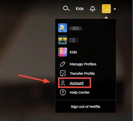 Netflix Account Login