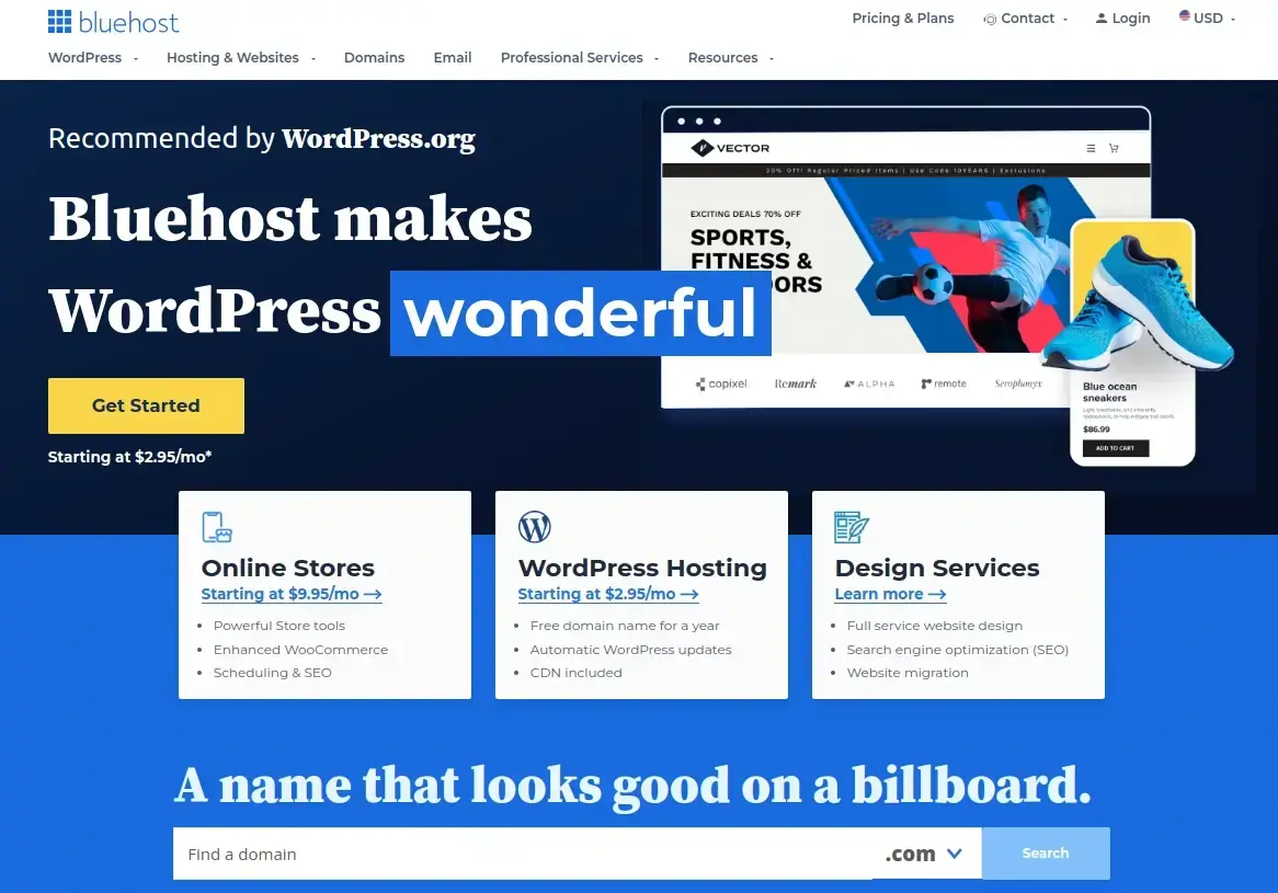 BlueHost Web Hosting