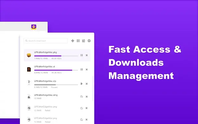 Download Manager Pro Chrome Extension