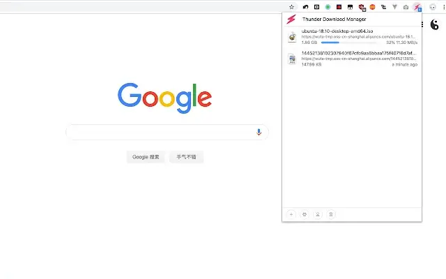 Thunder Download Manager Extension