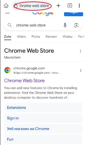 Access the Chrome Web Store