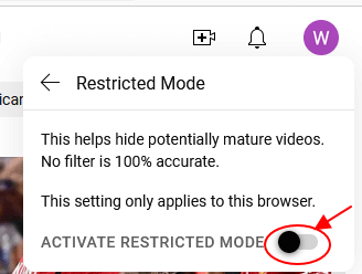 Activate YpuTube Restricted Mode