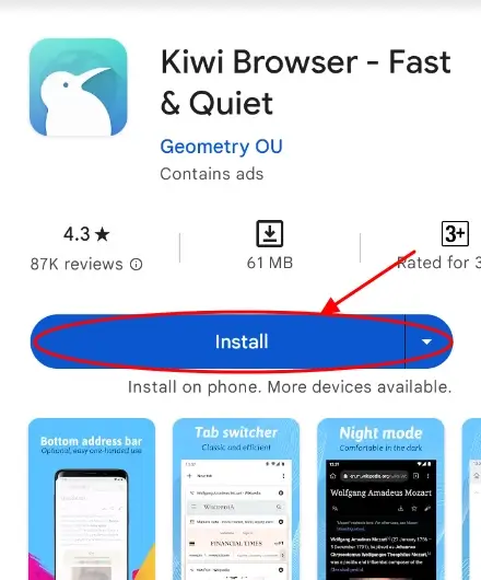 Download Kiwi Browser