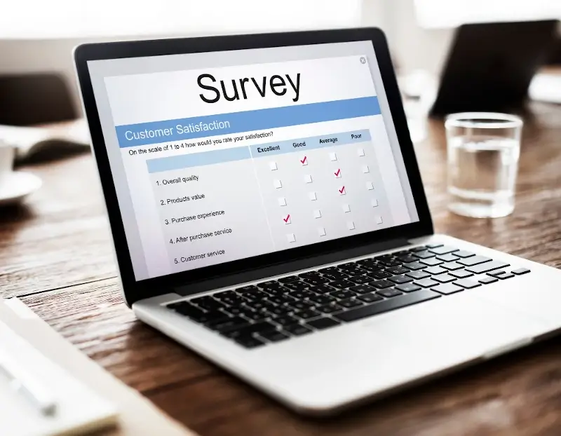 Online Surveys