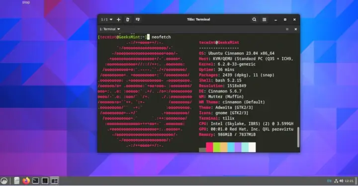 Install Cinnamon in Ubuntu