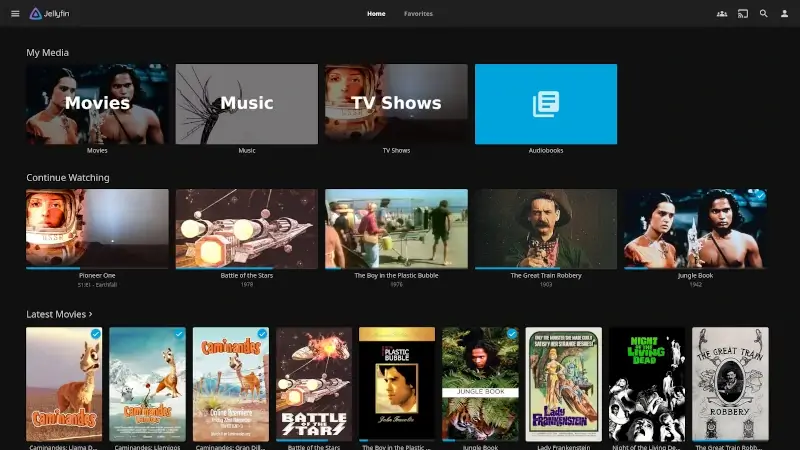 Jellyfin Media System