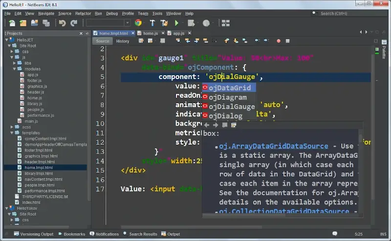 Netbeans IDE Editor