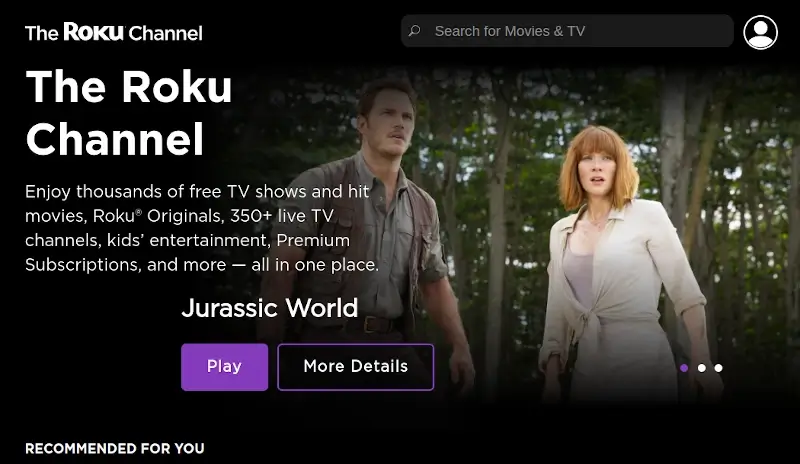 The Roku Channel