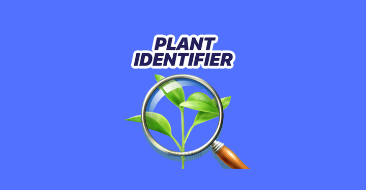 Plant Identification Apps