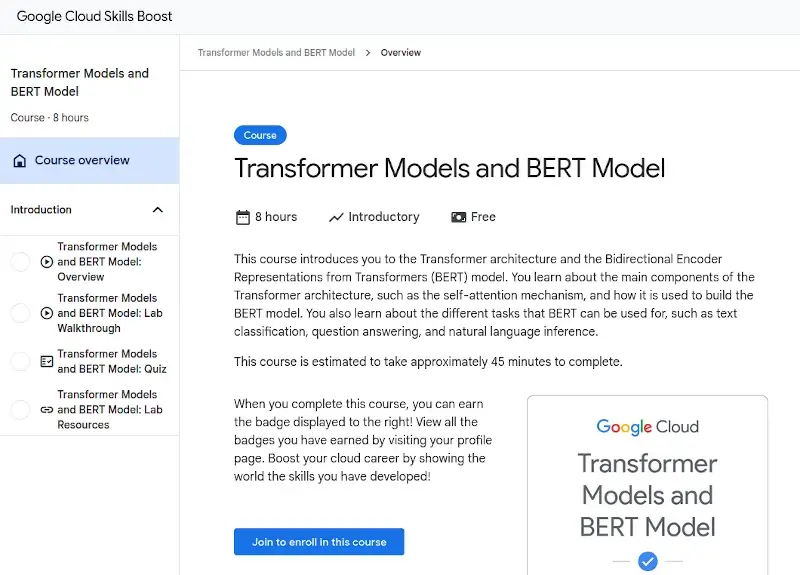 Transformer Models and BERT Model